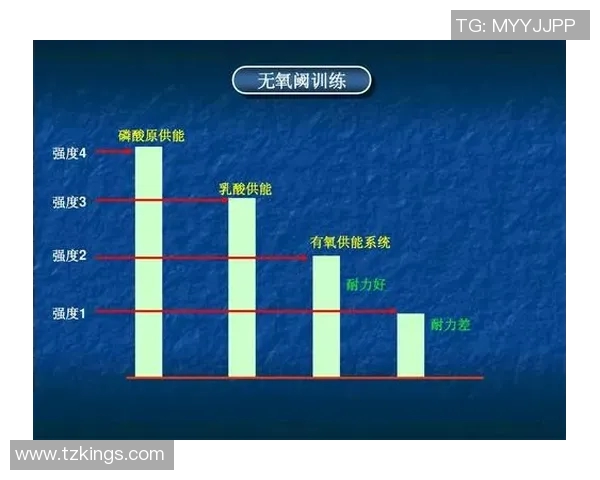 南京羽毛球队耐力对比深度解析与训练策略探讨