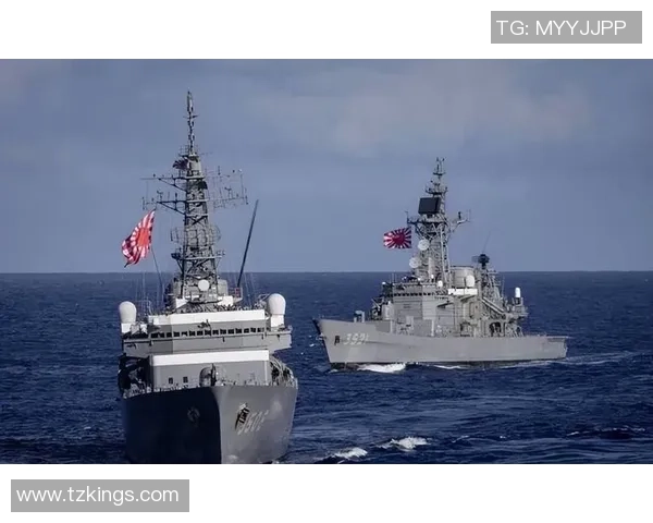 德国视角下的日本足球明星风采与成就全解析