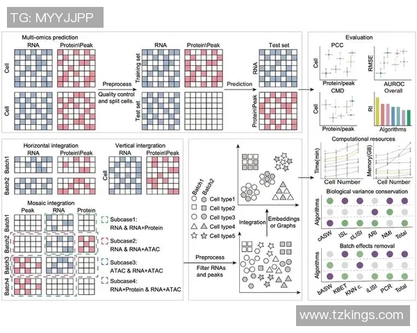 成都足球队在钻石联赛中的个人能力分析与表现评估